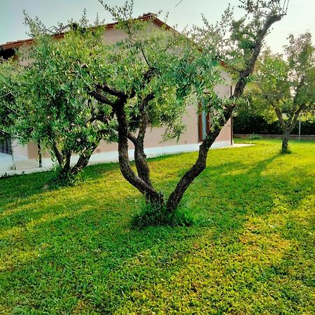 Il Melograno Apartment Lucca Ngoại thất bức ảnh
